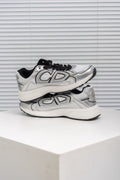 Dior B30 Metallic Gray